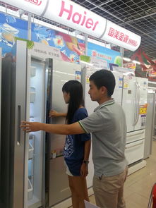 2013中国冰箱产业年会海尔集团囊括9项大奖